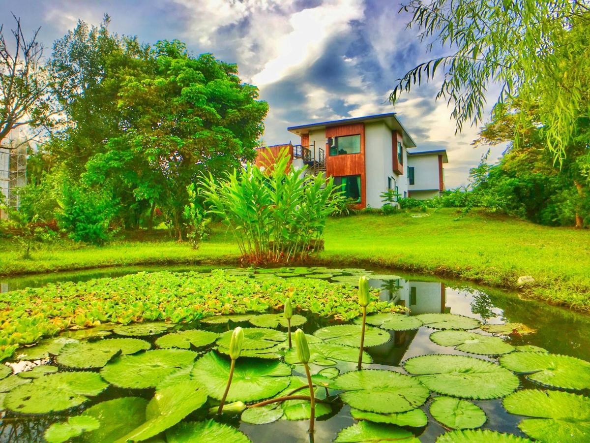 雲起軒民宿 Cloudscape B&B Ji'an Exterior photo